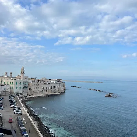 Isabel Apulian Molfetta